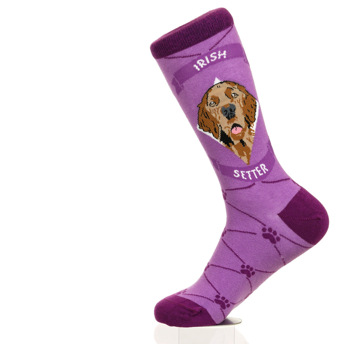 Irish Setter | Argyle Pups