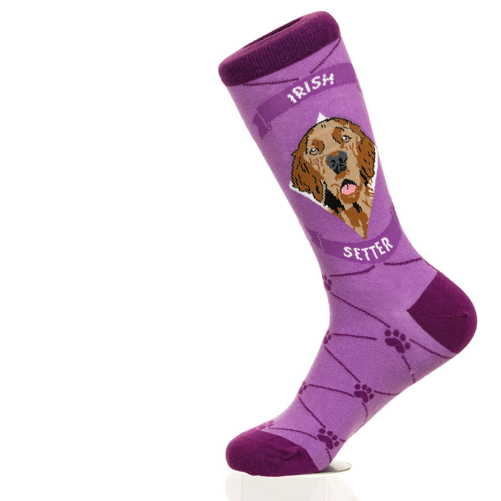Irish Setter | Argyle Pups
