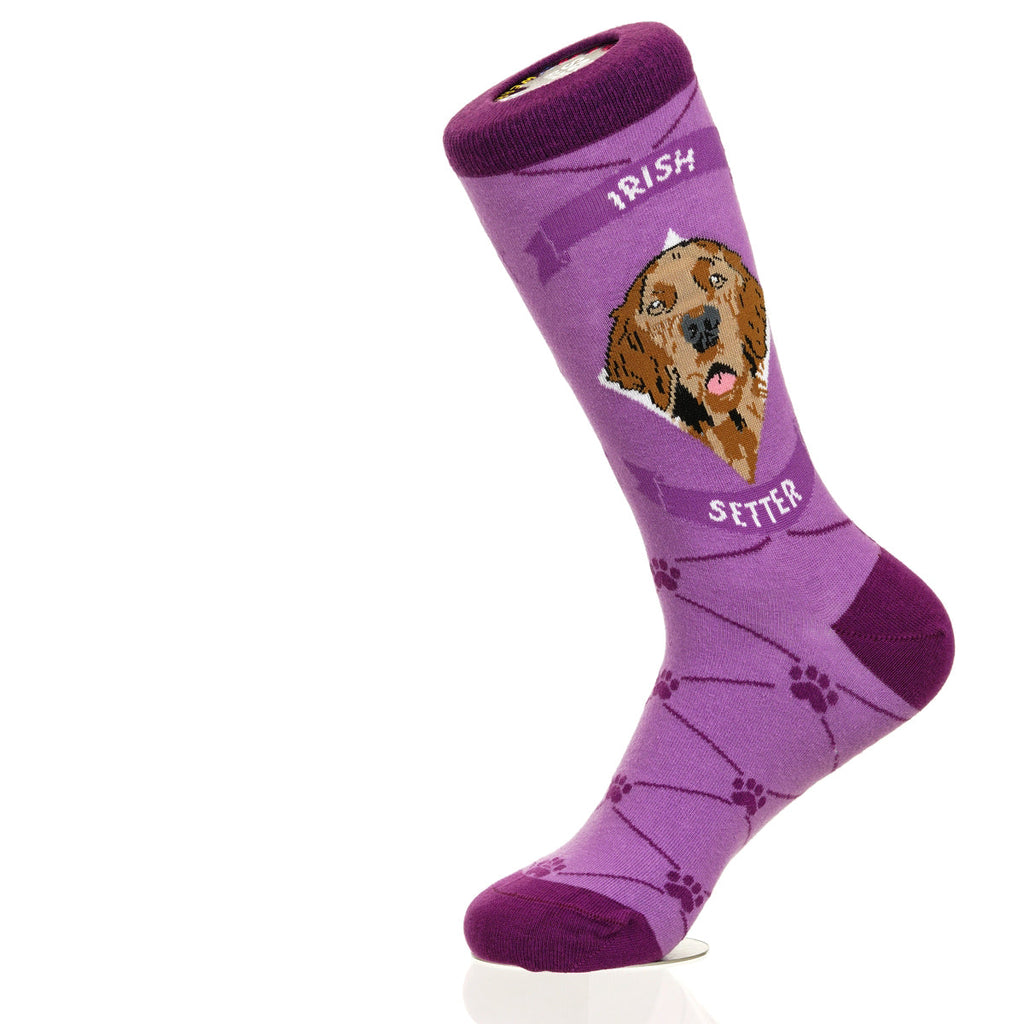 Irish Setter | Argyle Pups