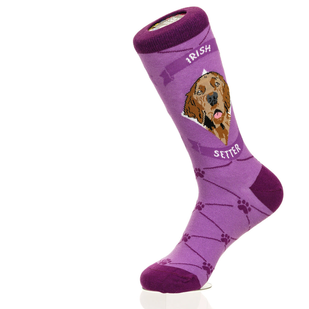 Irish Setter | Argyle Pups
