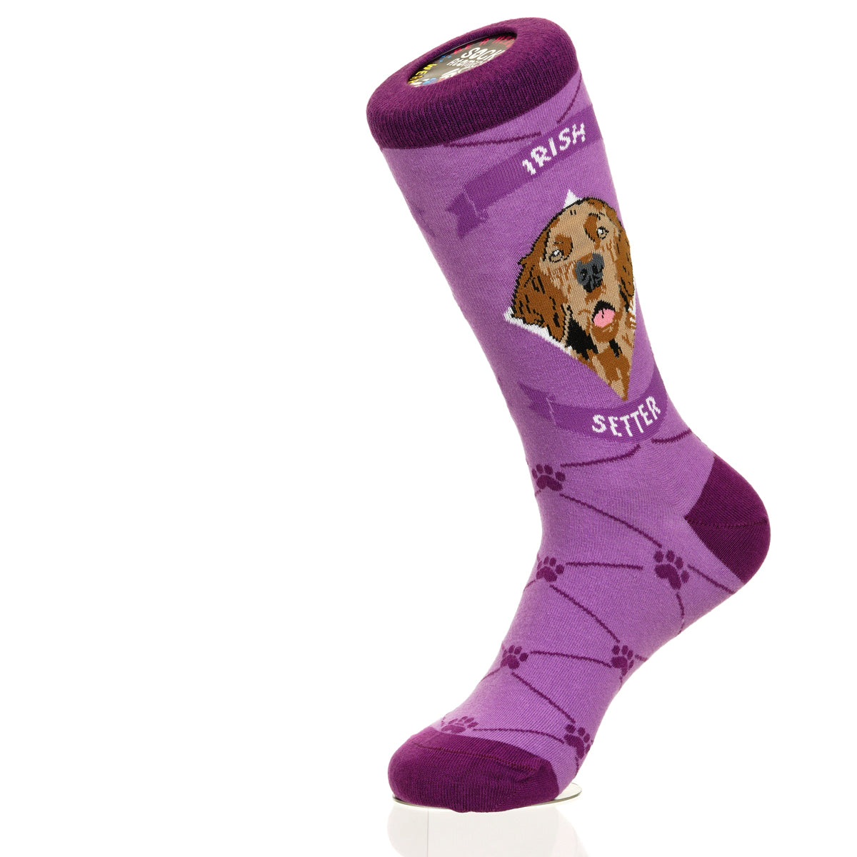 Irish Setter | Argyle Pups