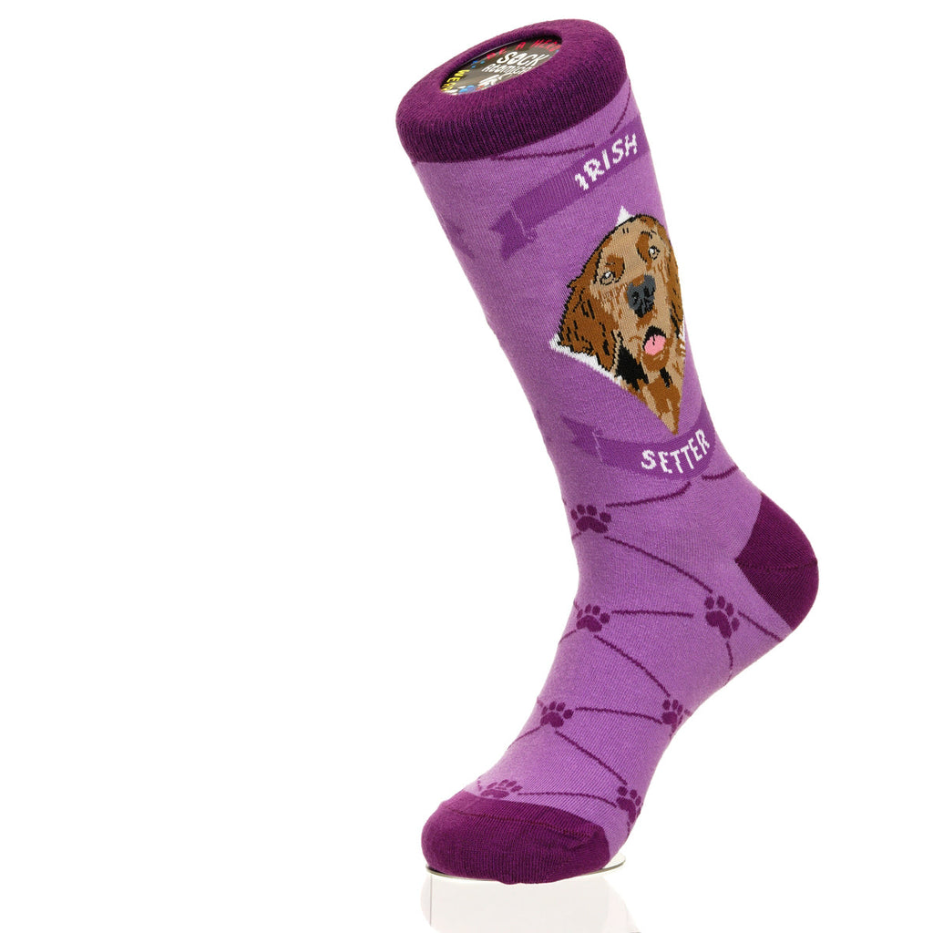 Irish Setter | Argyle Pups