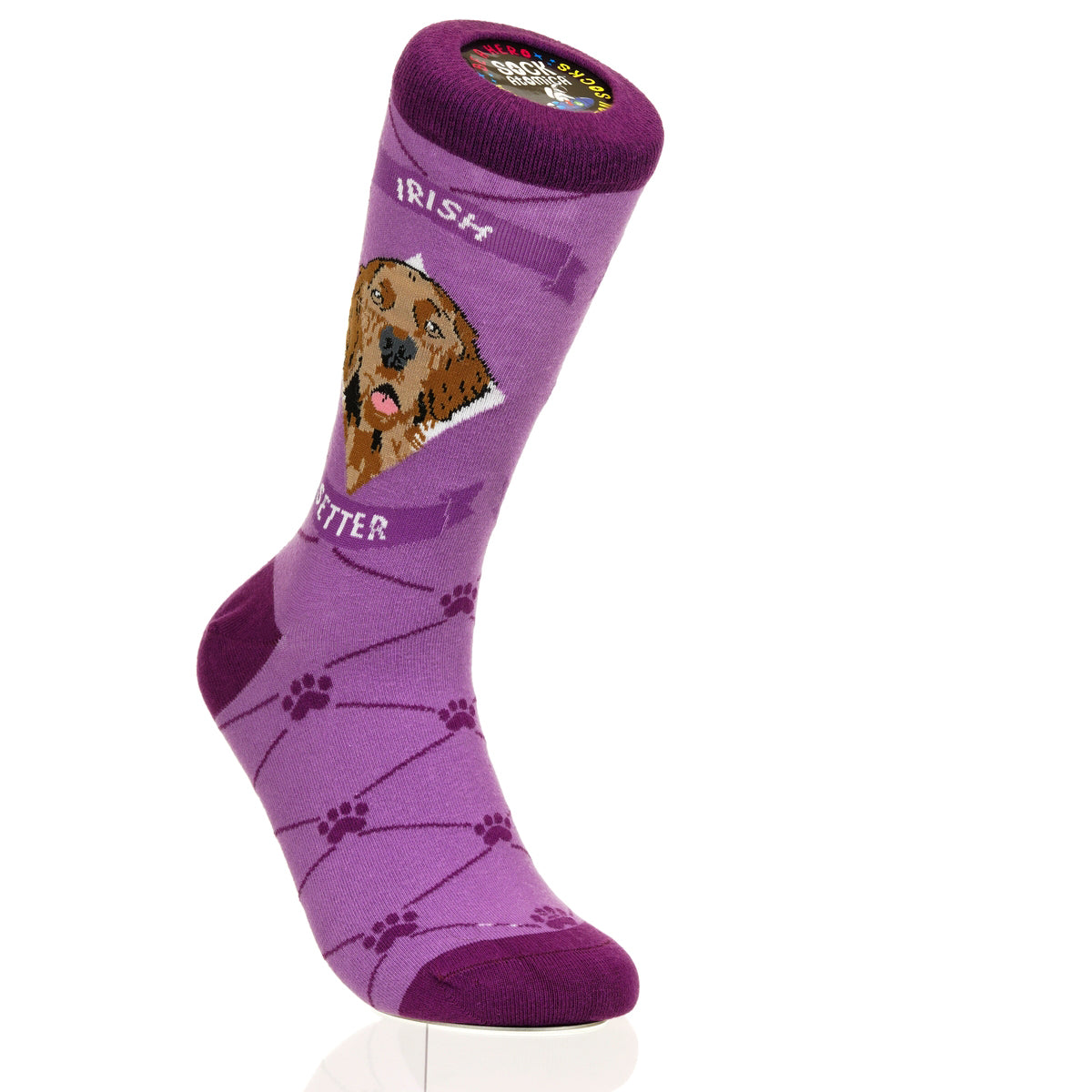 Irish Setter | Argyle Pups