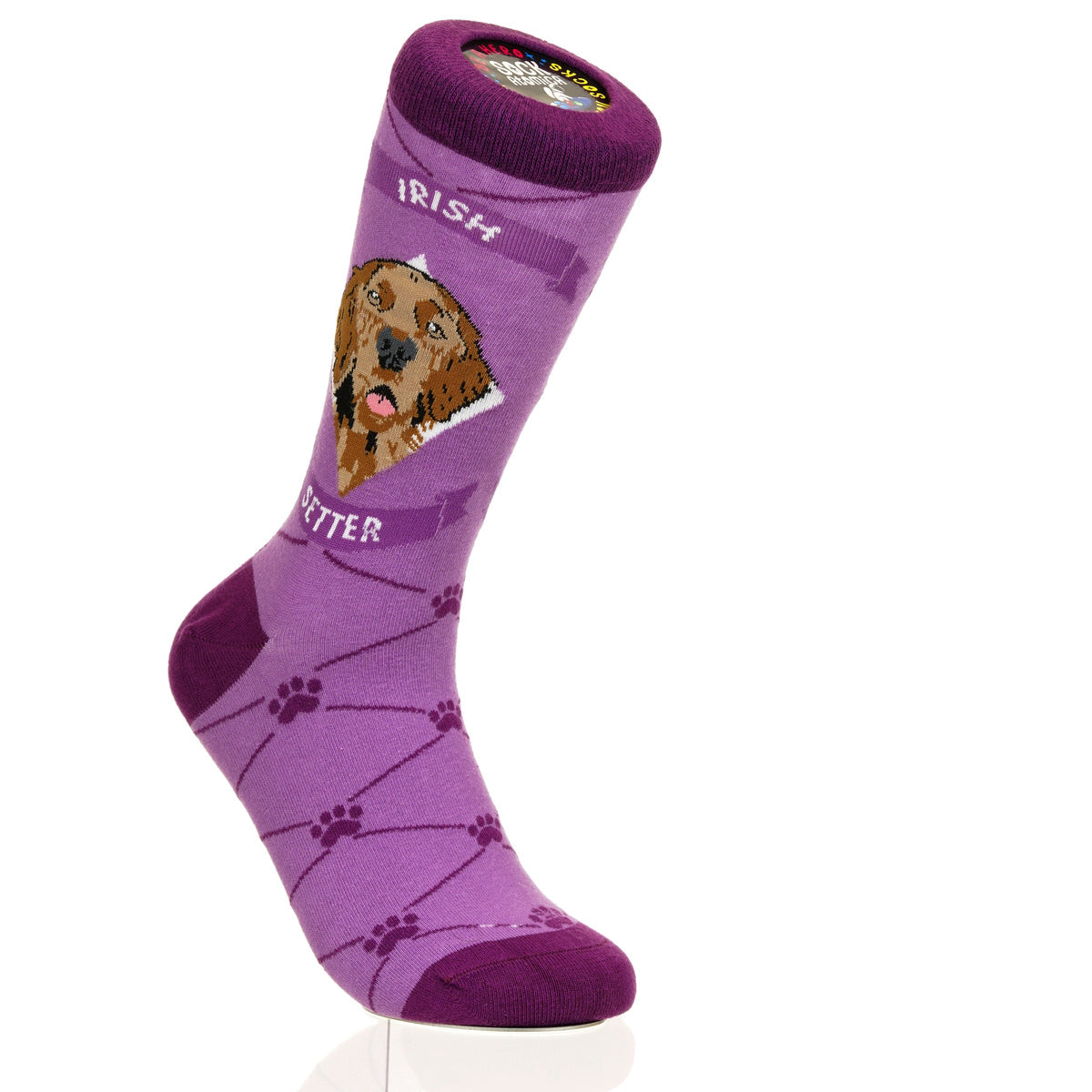 Irish Setter | Argyle Pups