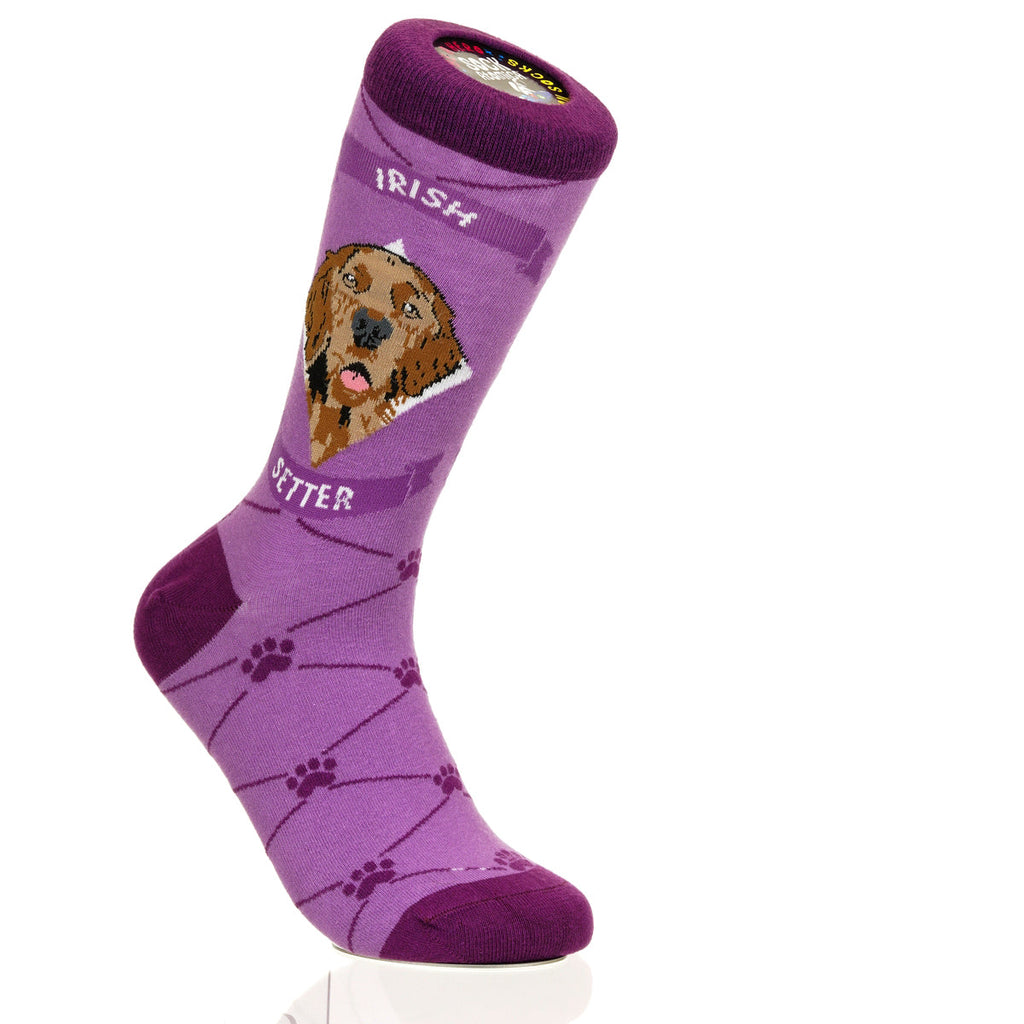Irish Setter | Argyle Pups