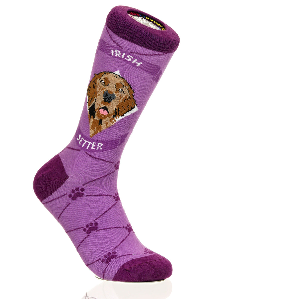 Irish Setter | Argyle Pups