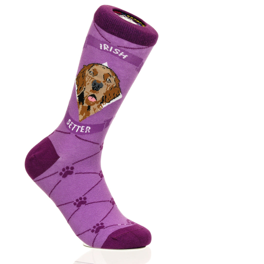 Irish Setter | Argyle Pups