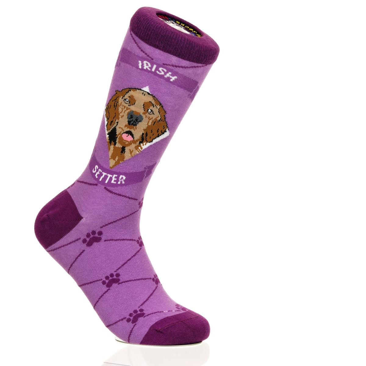 Irish Setter | Argyle Pups
