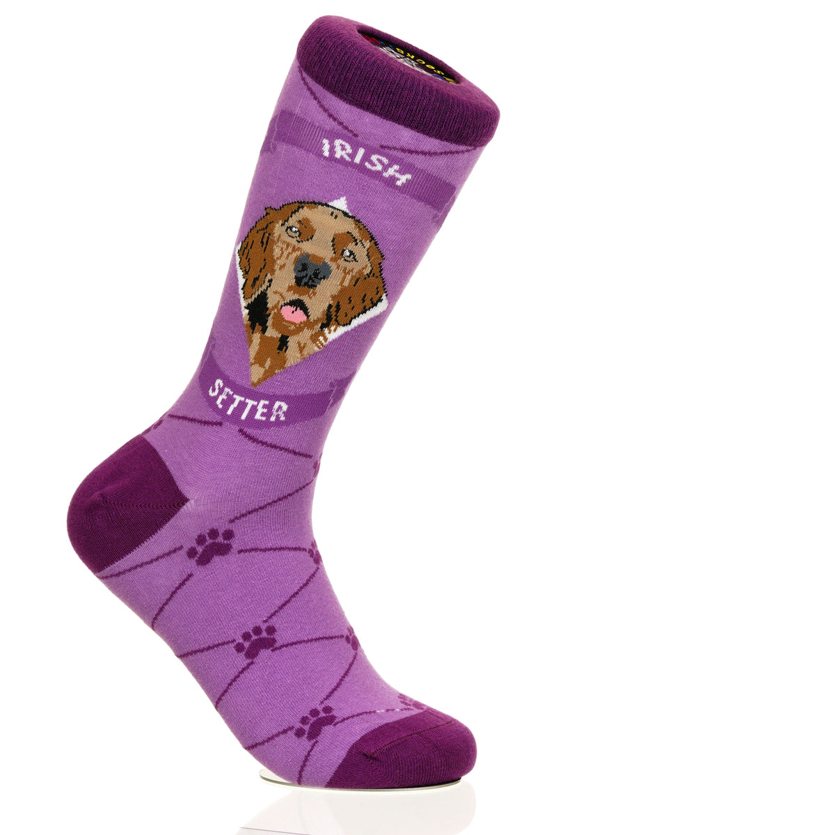 Irish Setter | Argyle Pups