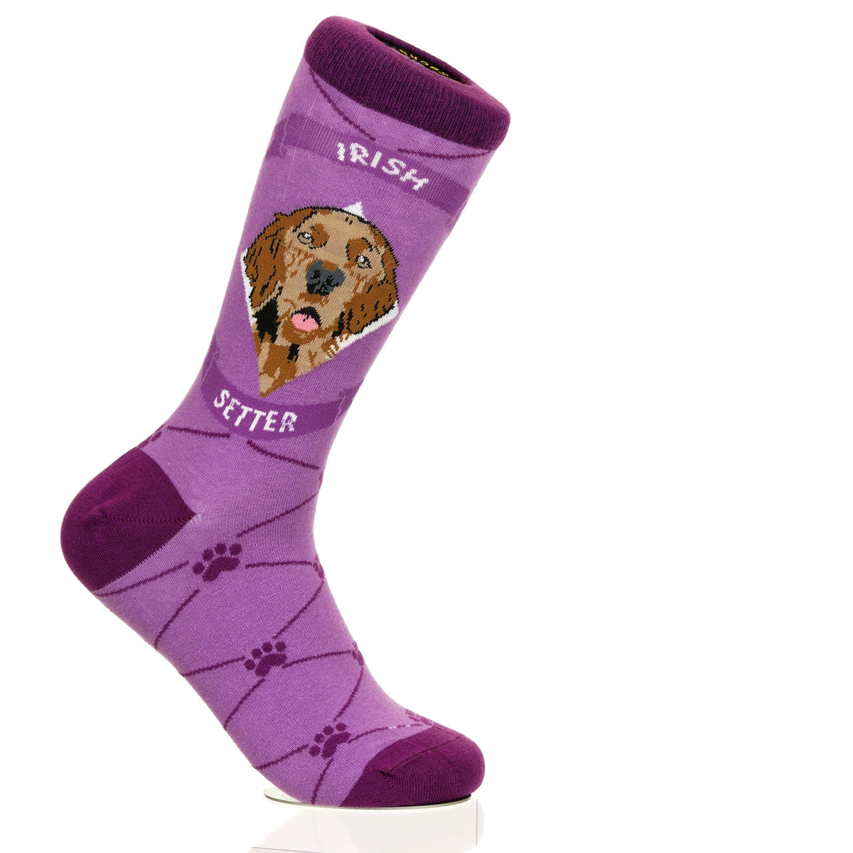 Irish Setter | Argyle Pups