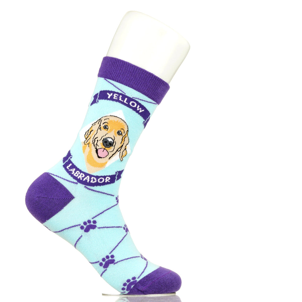 Labrador Yellow Lab | Argyle Pups