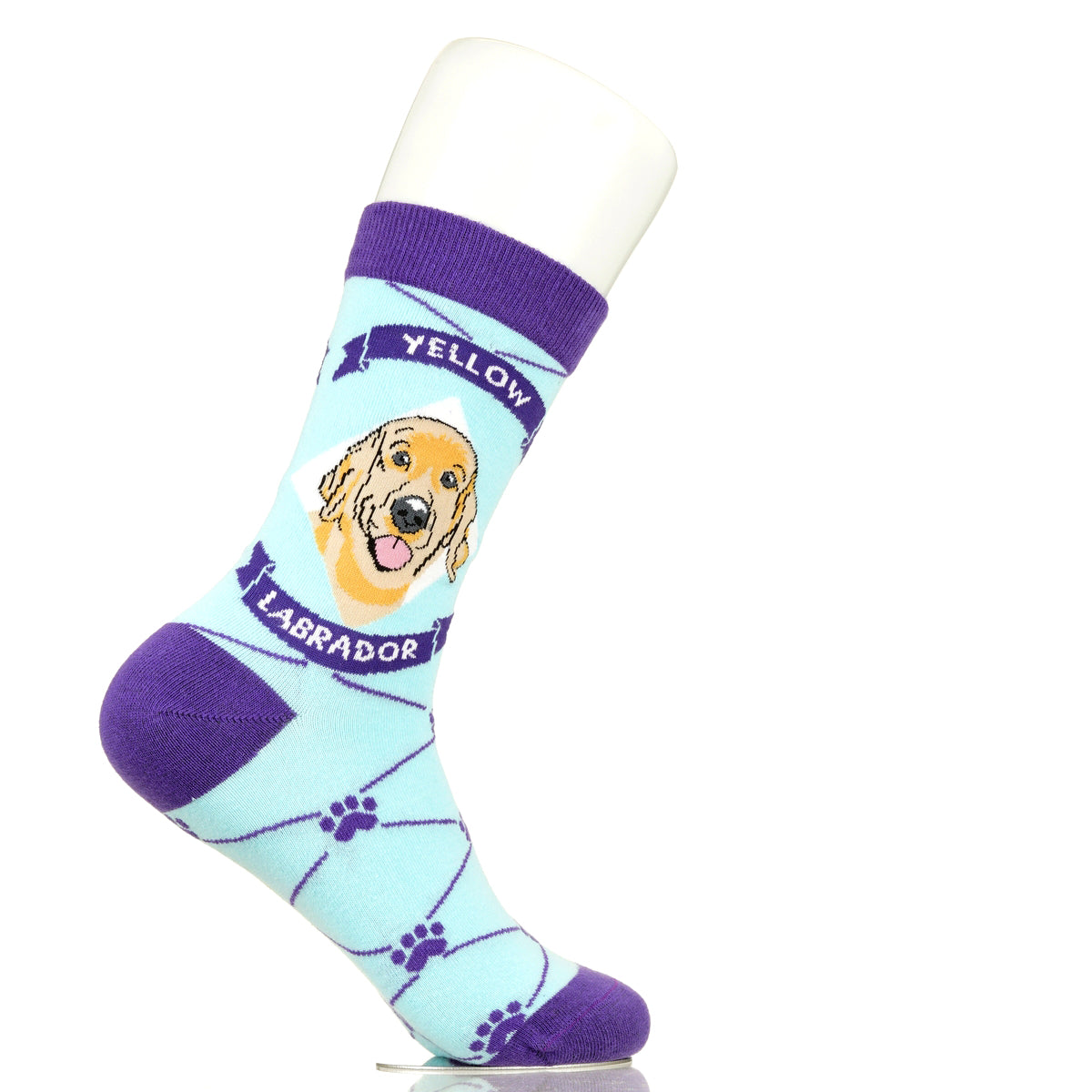 Labrador Yellow Lab | Argyle Pups
