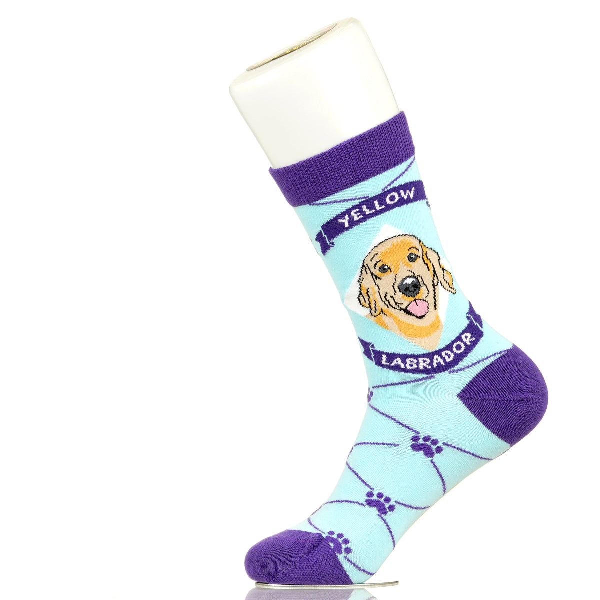 Labrador Yellow Lab | Argyle Pups