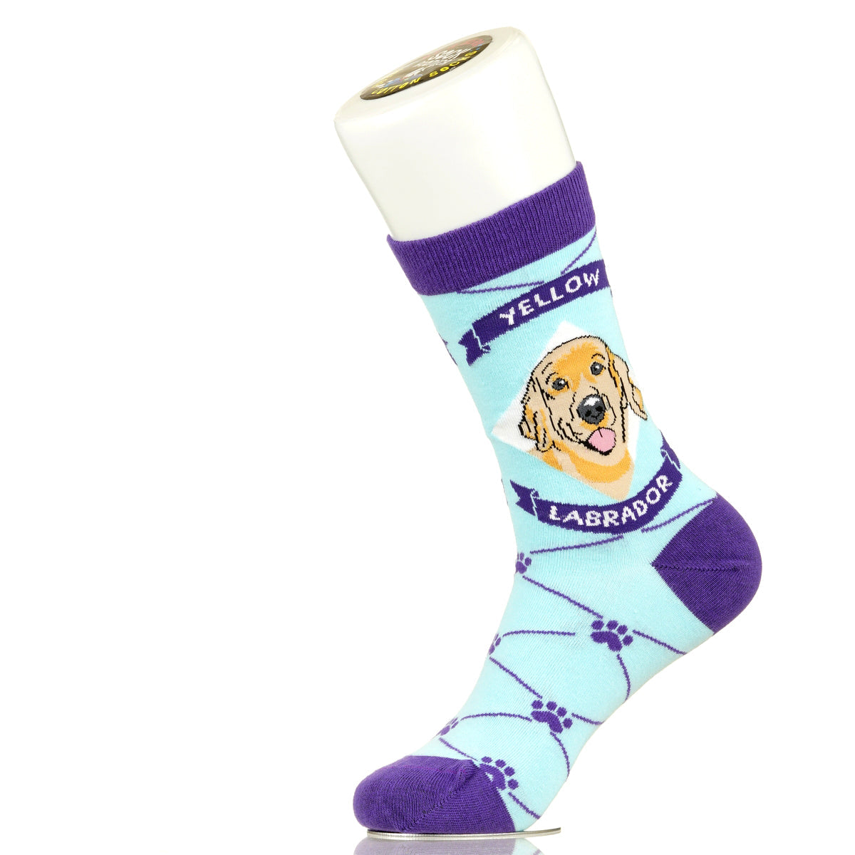 Labrador Yellow Lab | Argyle Pups