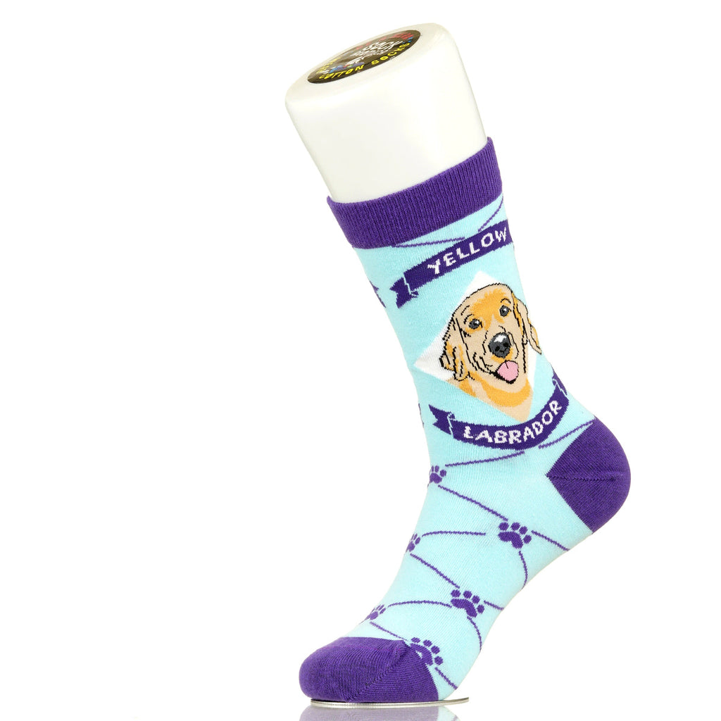 Labrador Yellow Lab | Argyle Pups
