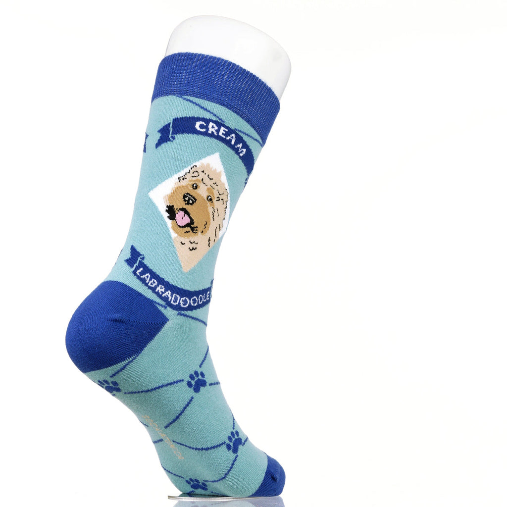 Labradoodle Cream | Argyle Pups