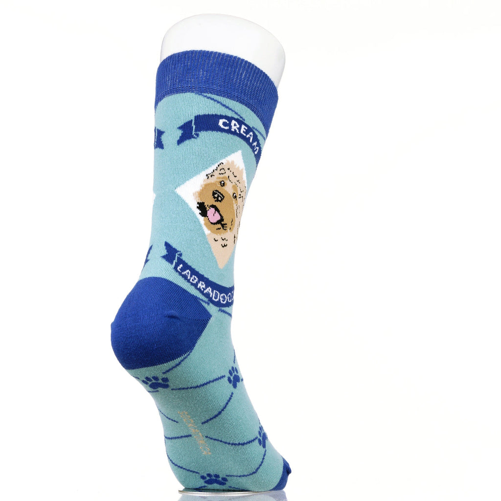 Labradoodle Cream | Argyle Pups