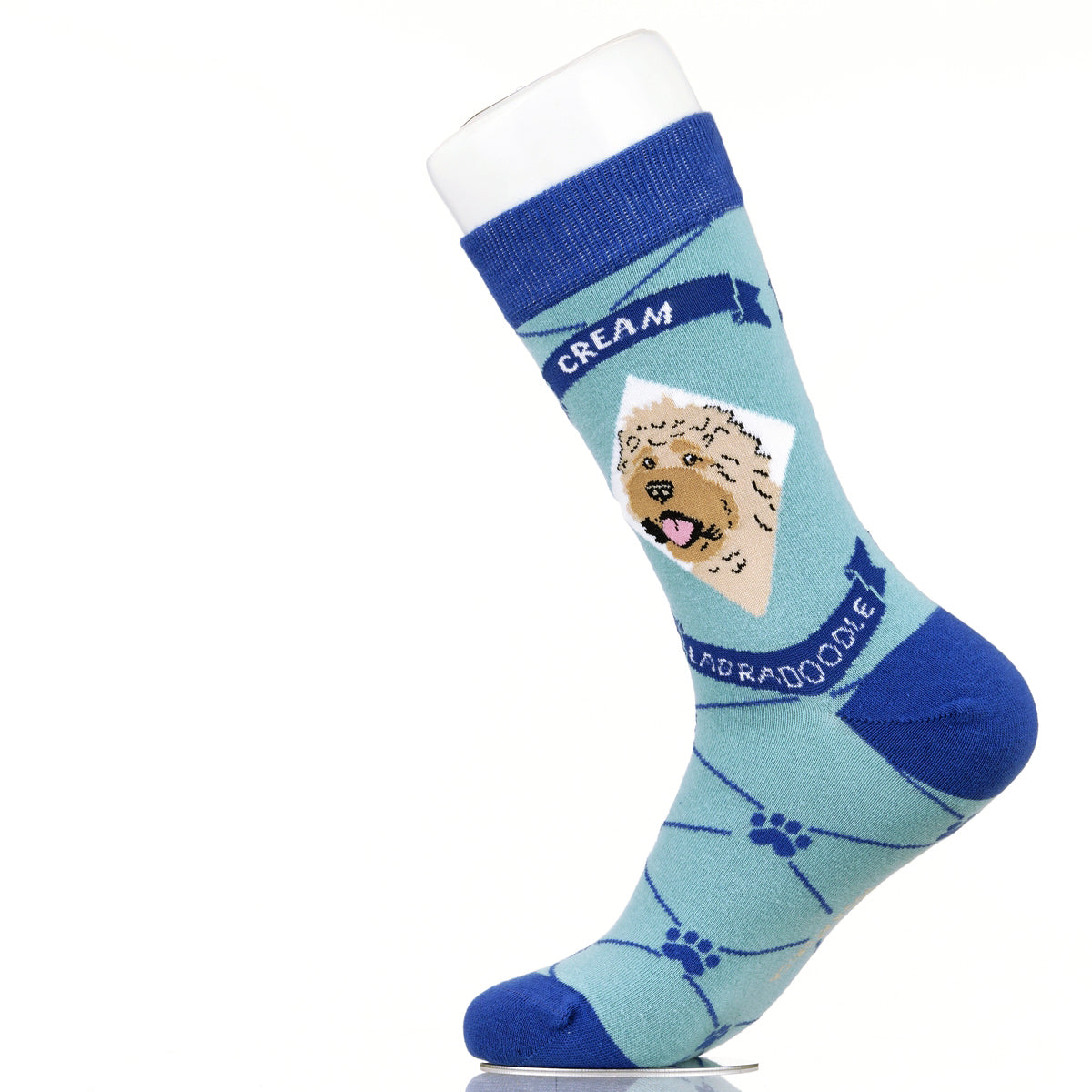Labradoodle Cream | Argyle Pups