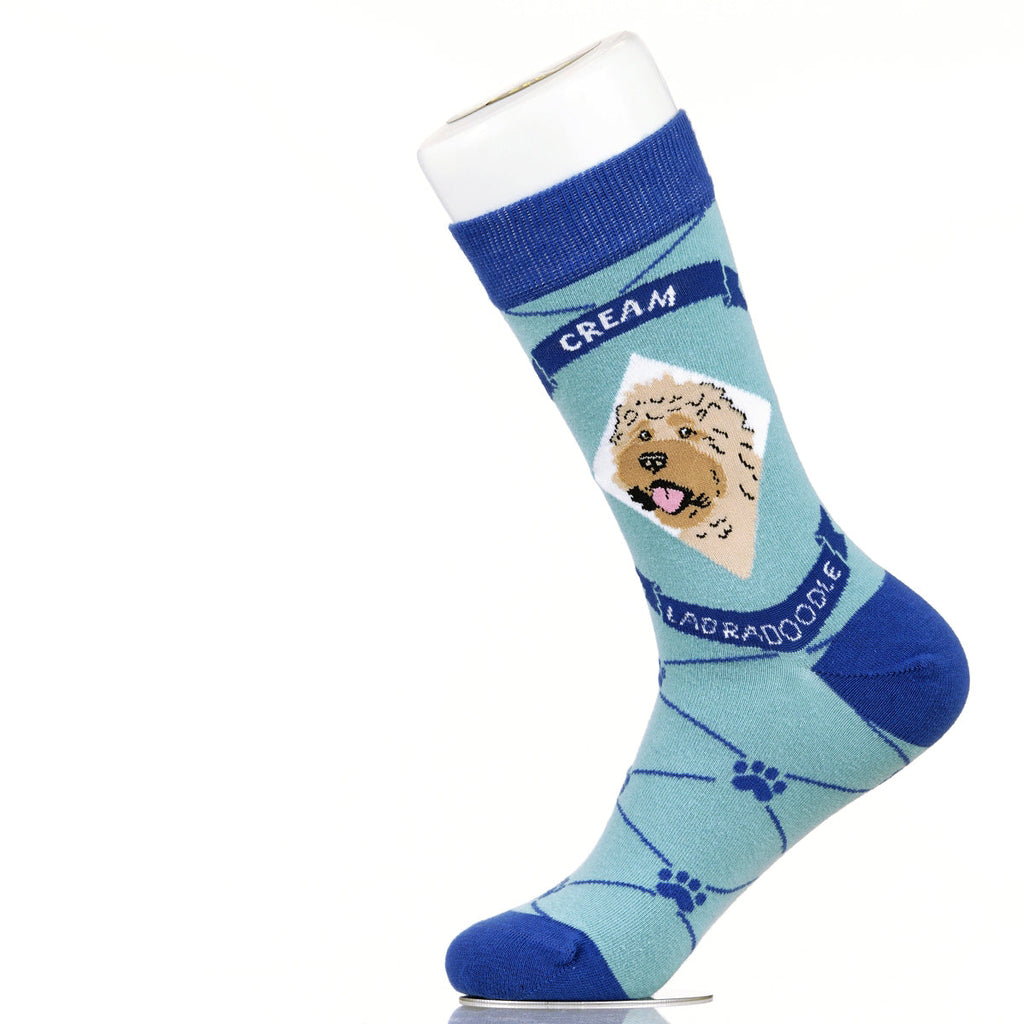 Labradoodle Cream | Argyle Pups