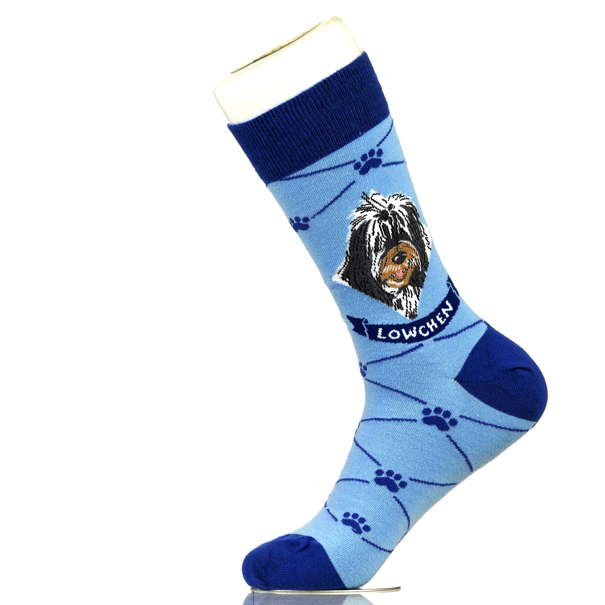 Lowchen | Argyle Pups