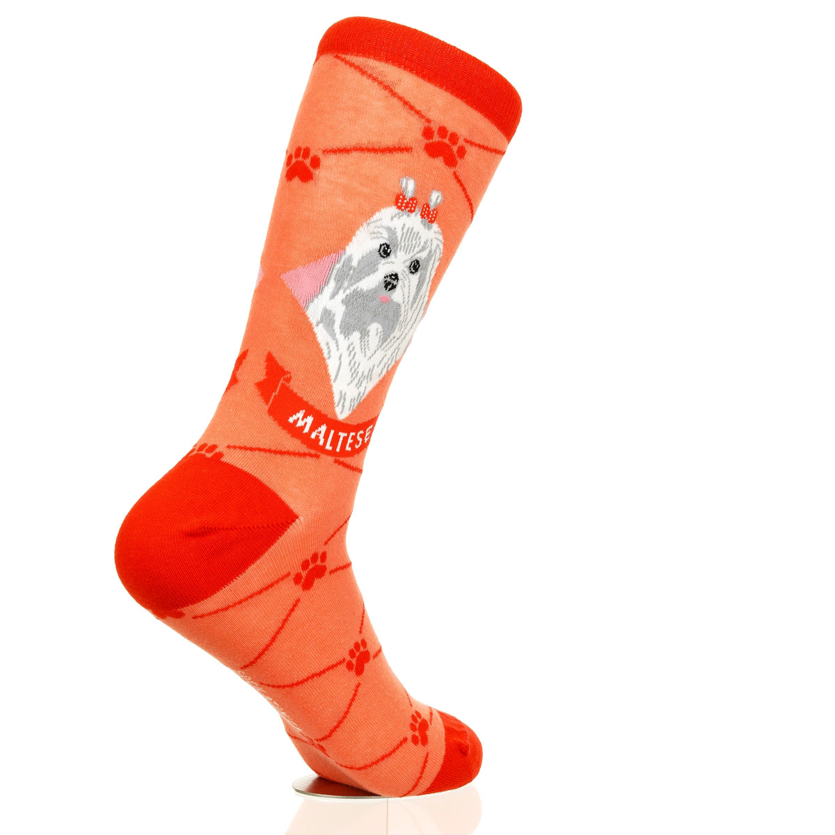 Maltese | Argyle Pups