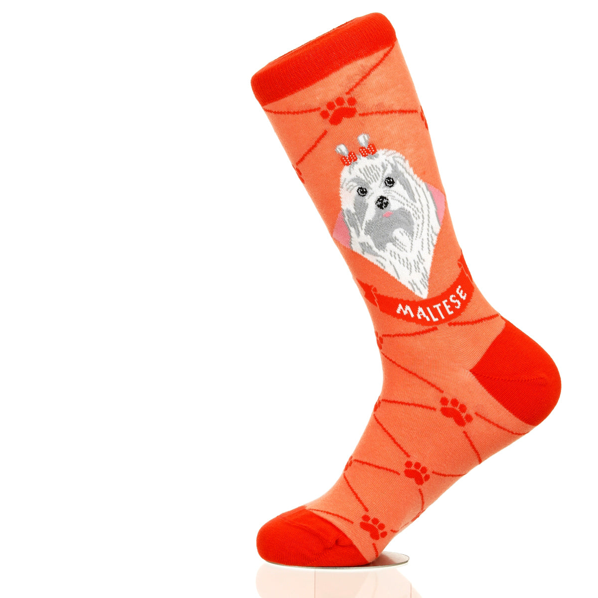 Maltese | Argyle Pups