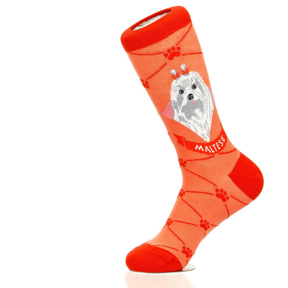 Maltese | Argyle Pups