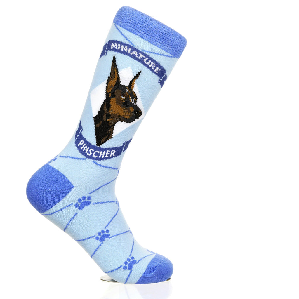 Miniature Pinscher | Argyle Pups