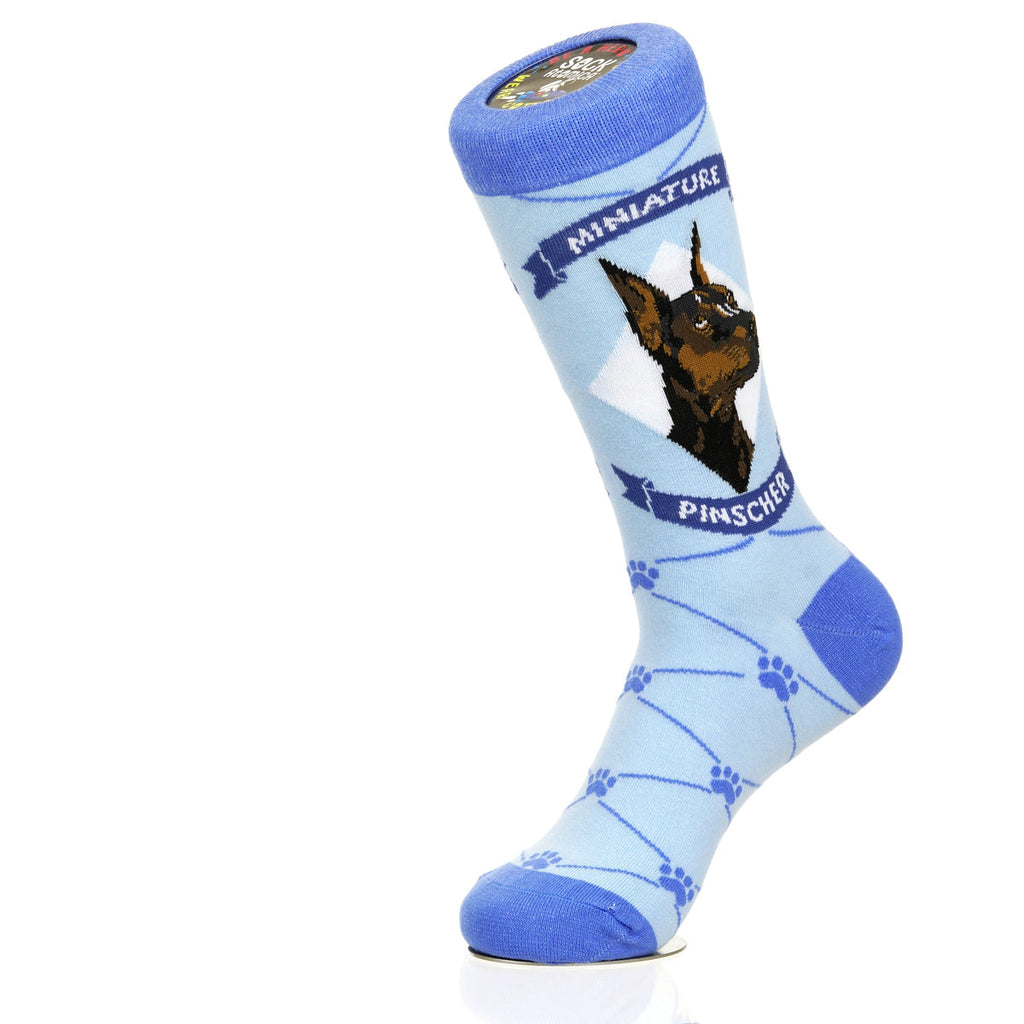 Miniature Pinscher | Argyle Pups