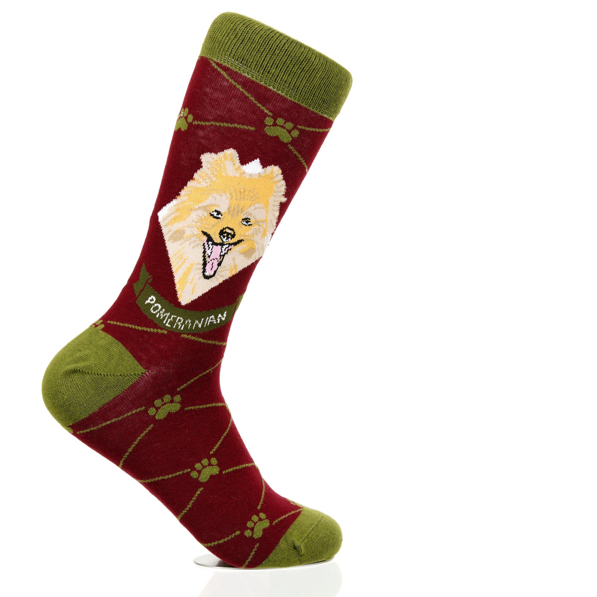 Pomeranian | Argyle Pups