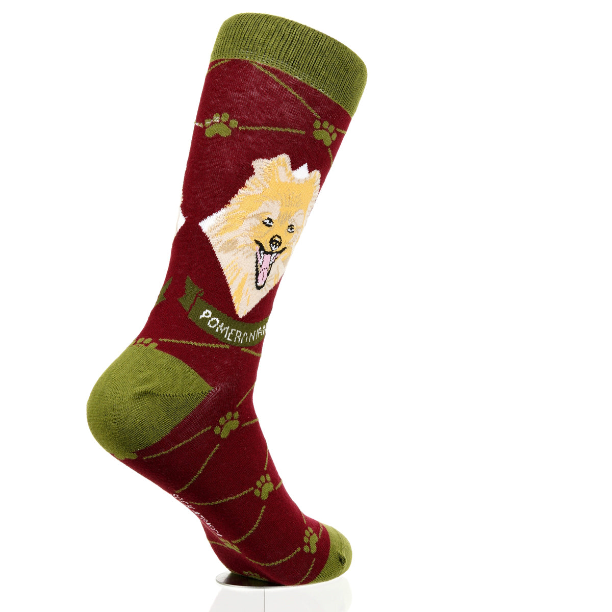 Pomeranian | Argyle Pups