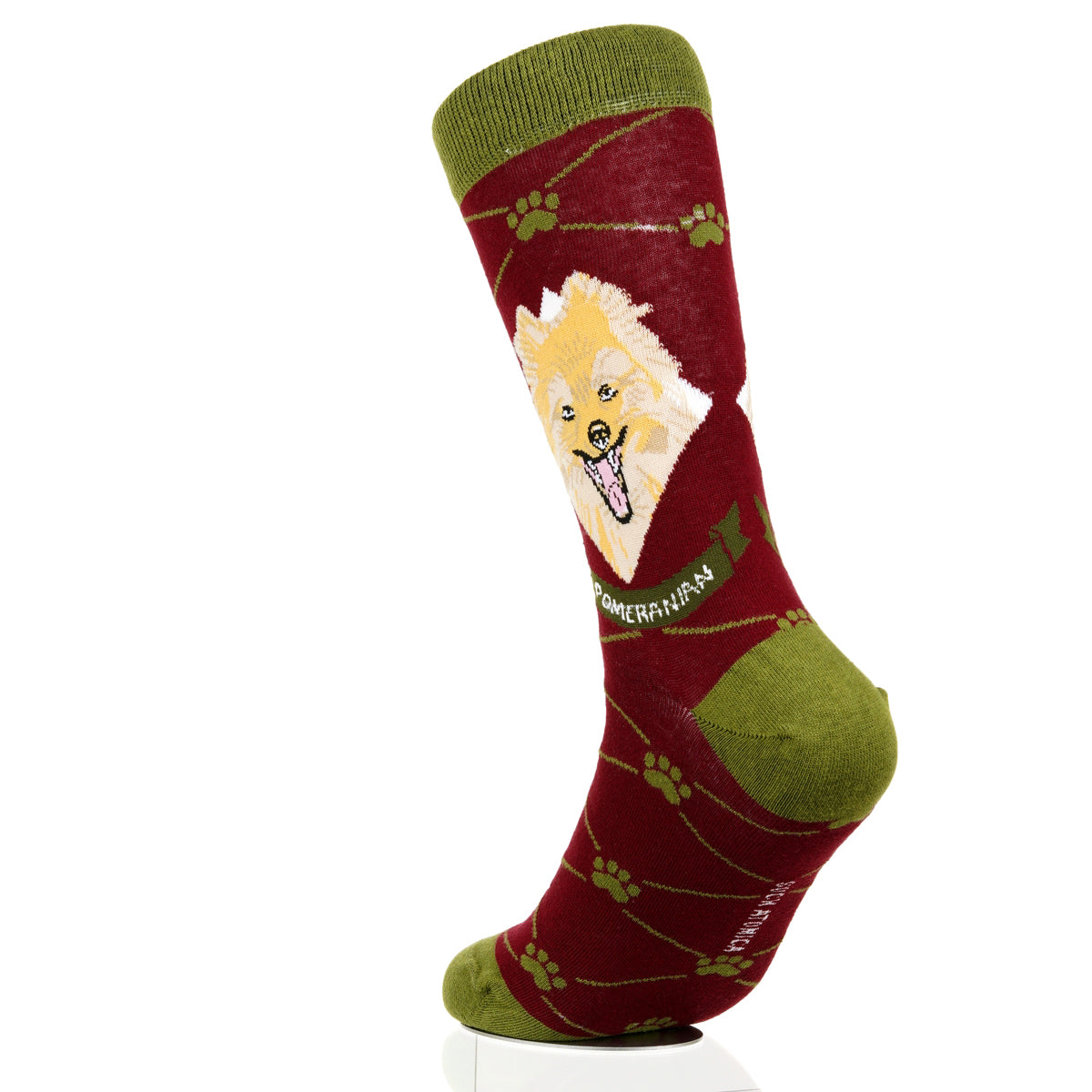 Pomeranian | Argyle Pups