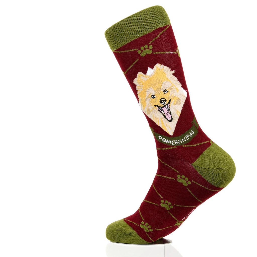 Pomeranian | Argyle Pups