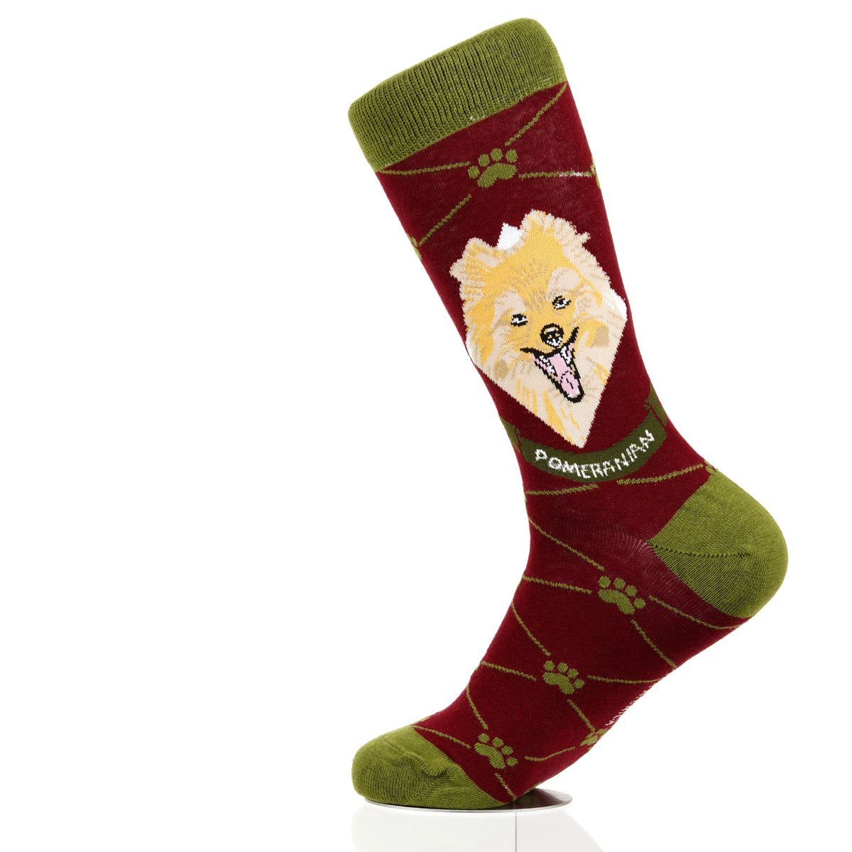 Pomeranian | Argyle Pups