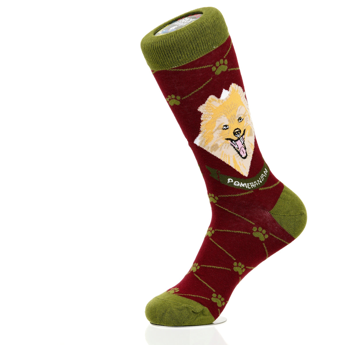 Pomeranian | Argyle Pups