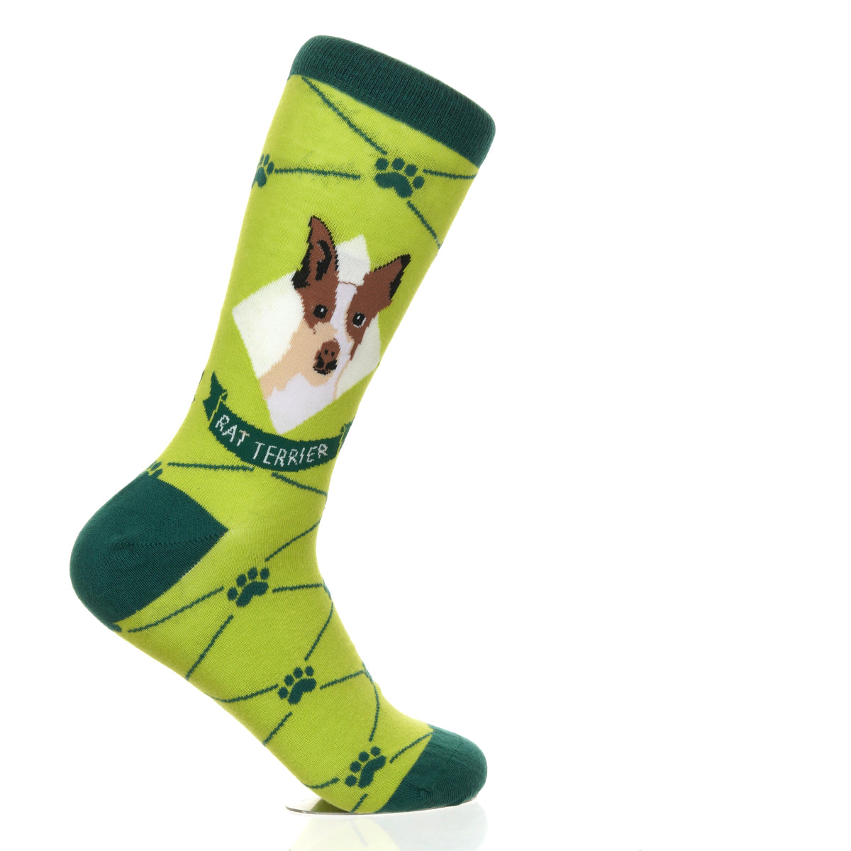 Rat Terrier | Argyle Pups