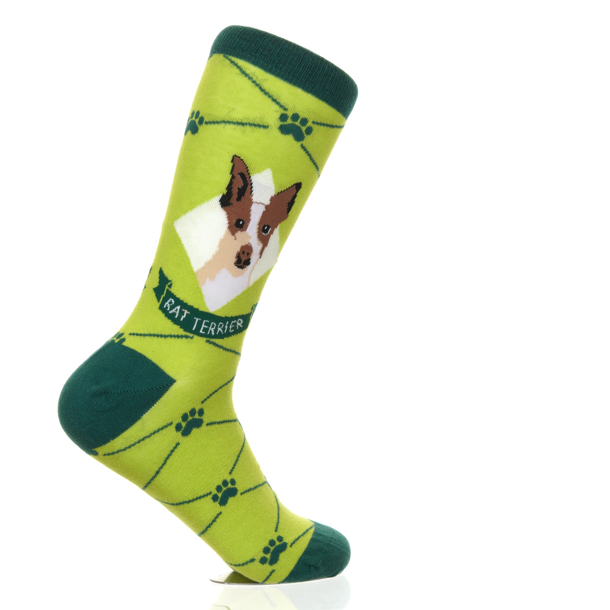Rat Terrier | Argyle Pups