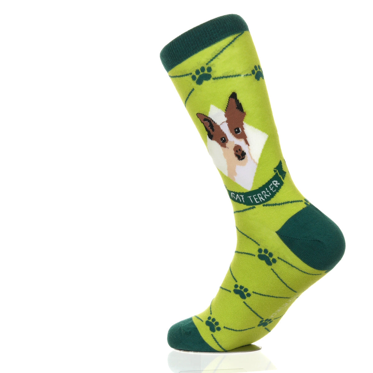 Rat Terrier | Argyle Pups