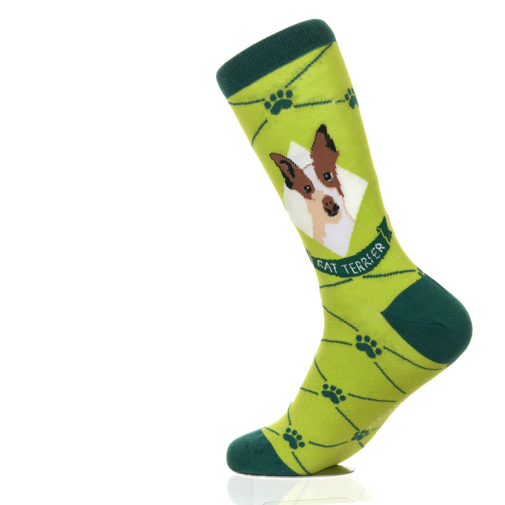 Rat Terrier | Argyle Pups