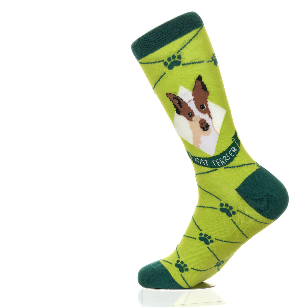 Rat Terrier | Argyle Pups