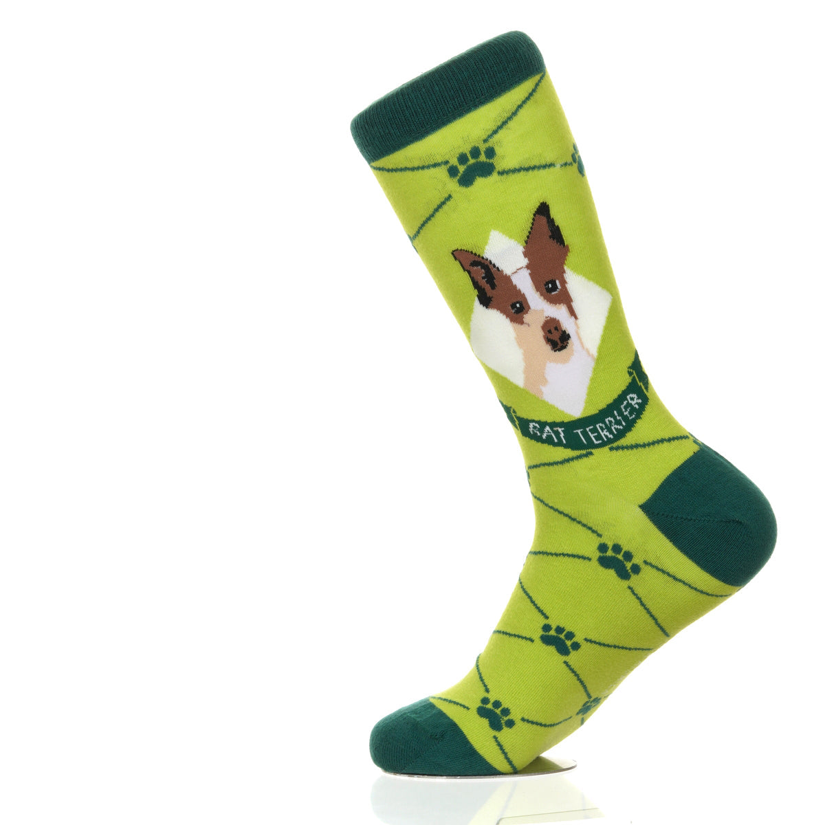 Rat Terrier | Argyle Pups