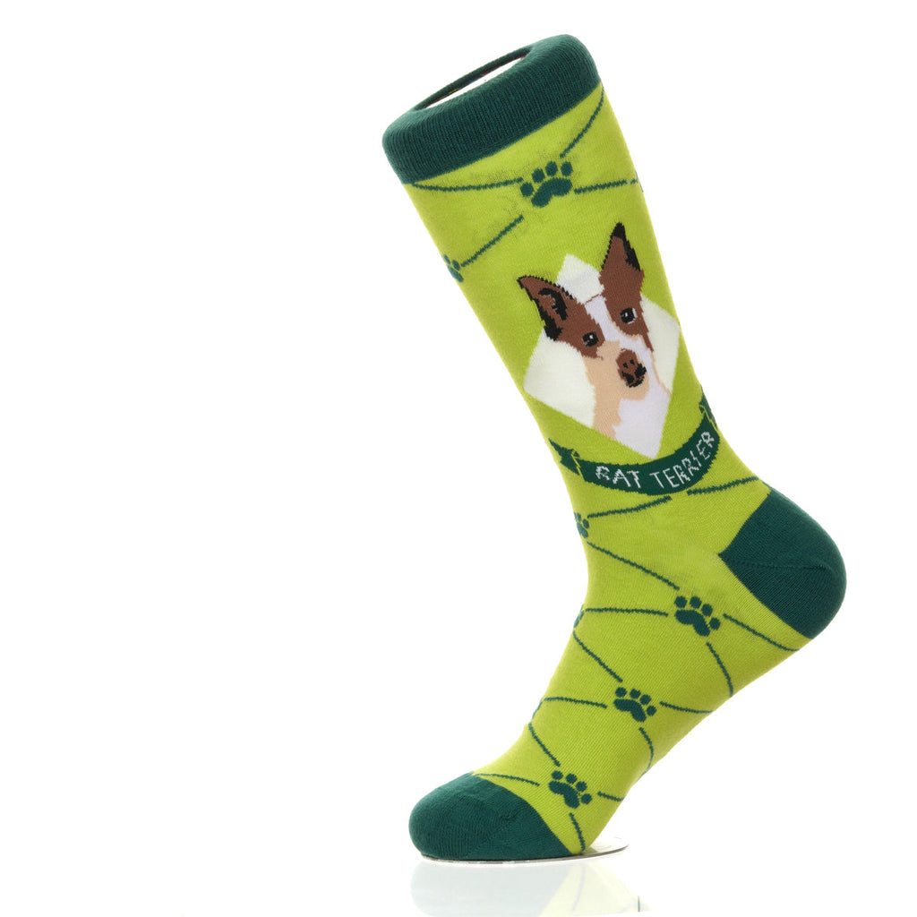 Rat Terrier | Argyle Pups