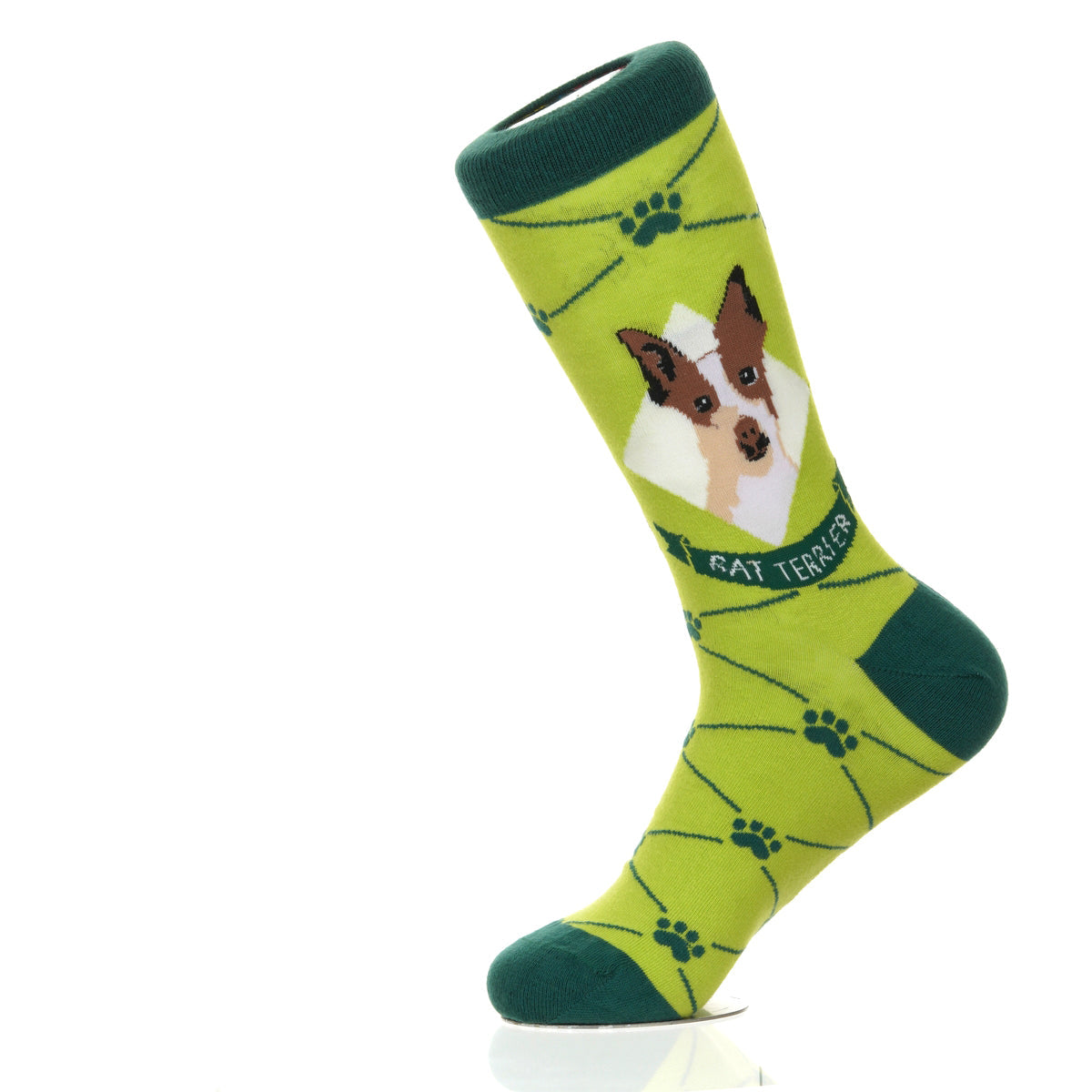 Rat Terrier | Argyle Pups