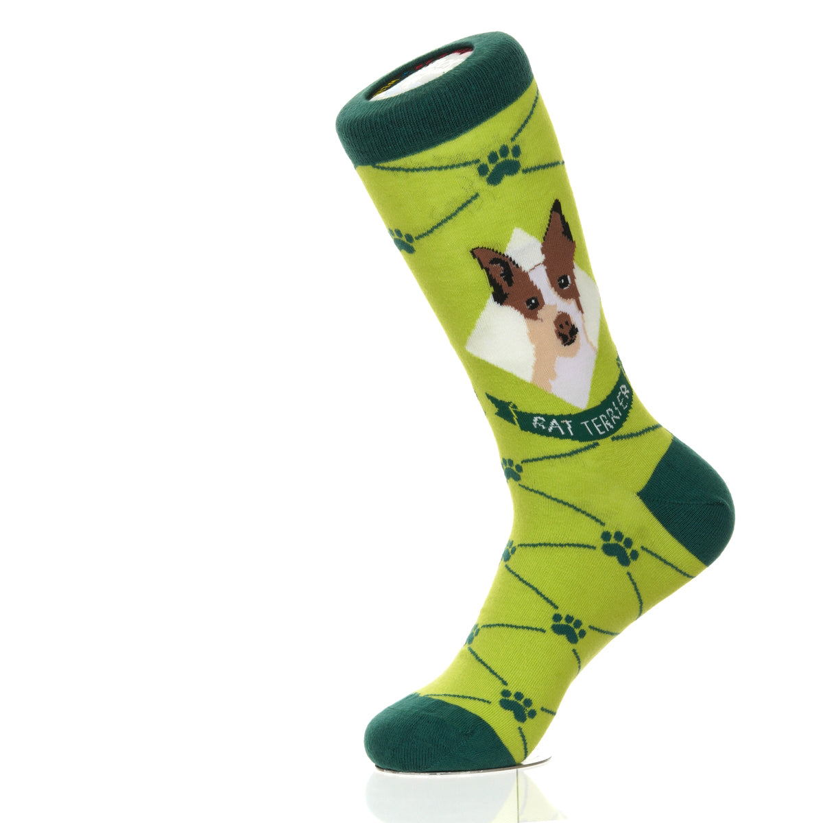 Rat Terrier | Argyle Pups