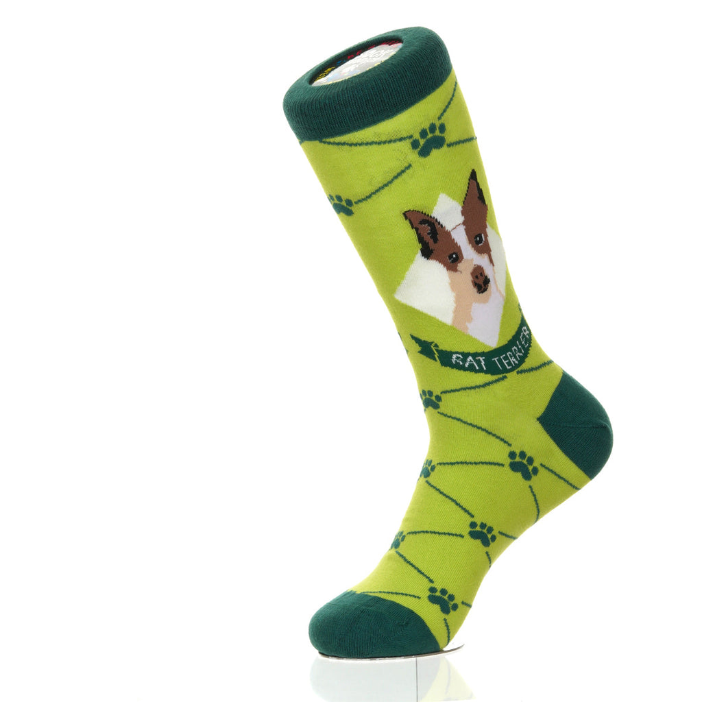 Rat Terrier | Argyle Pups