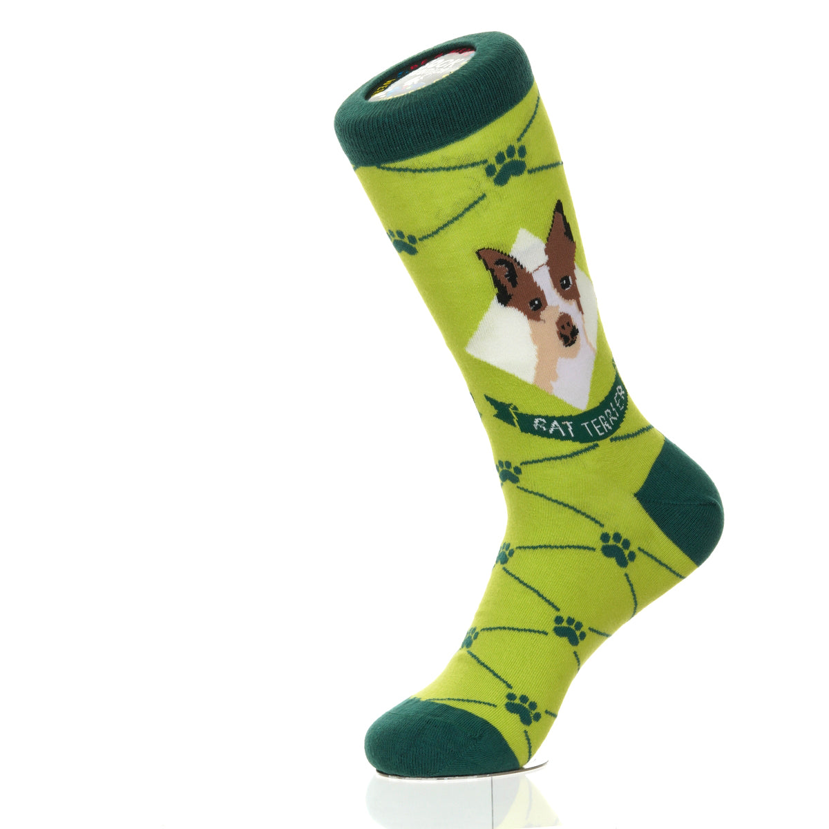 Rat Terrier | Argyle Pups