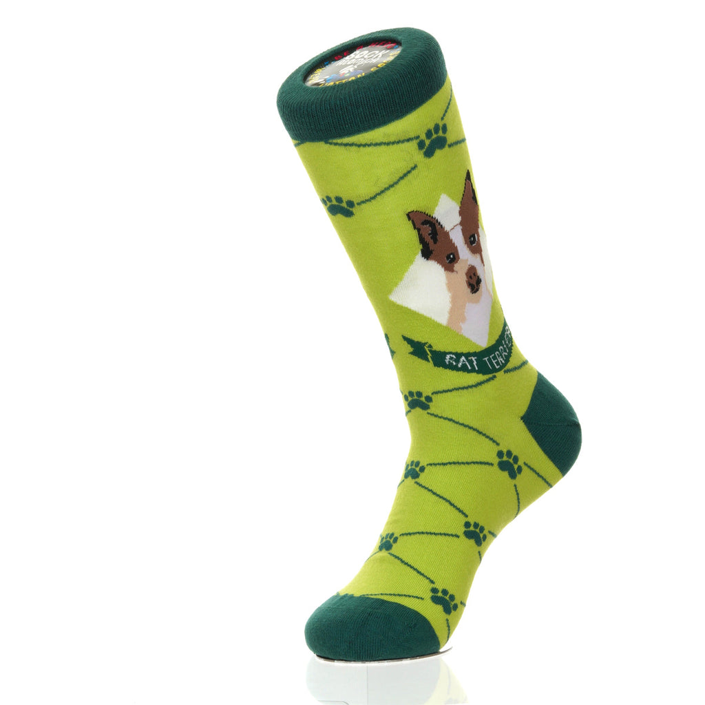 Rat Terrier | Argyle Pups