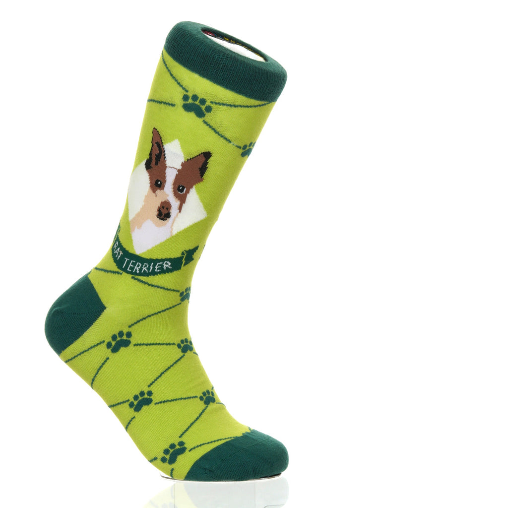 Rat Terrier | Argyle Pups