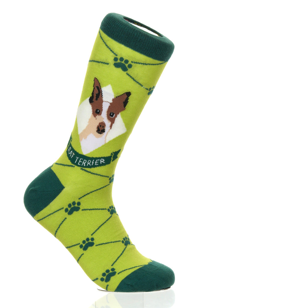 Rat Terrier | Argyle Pups