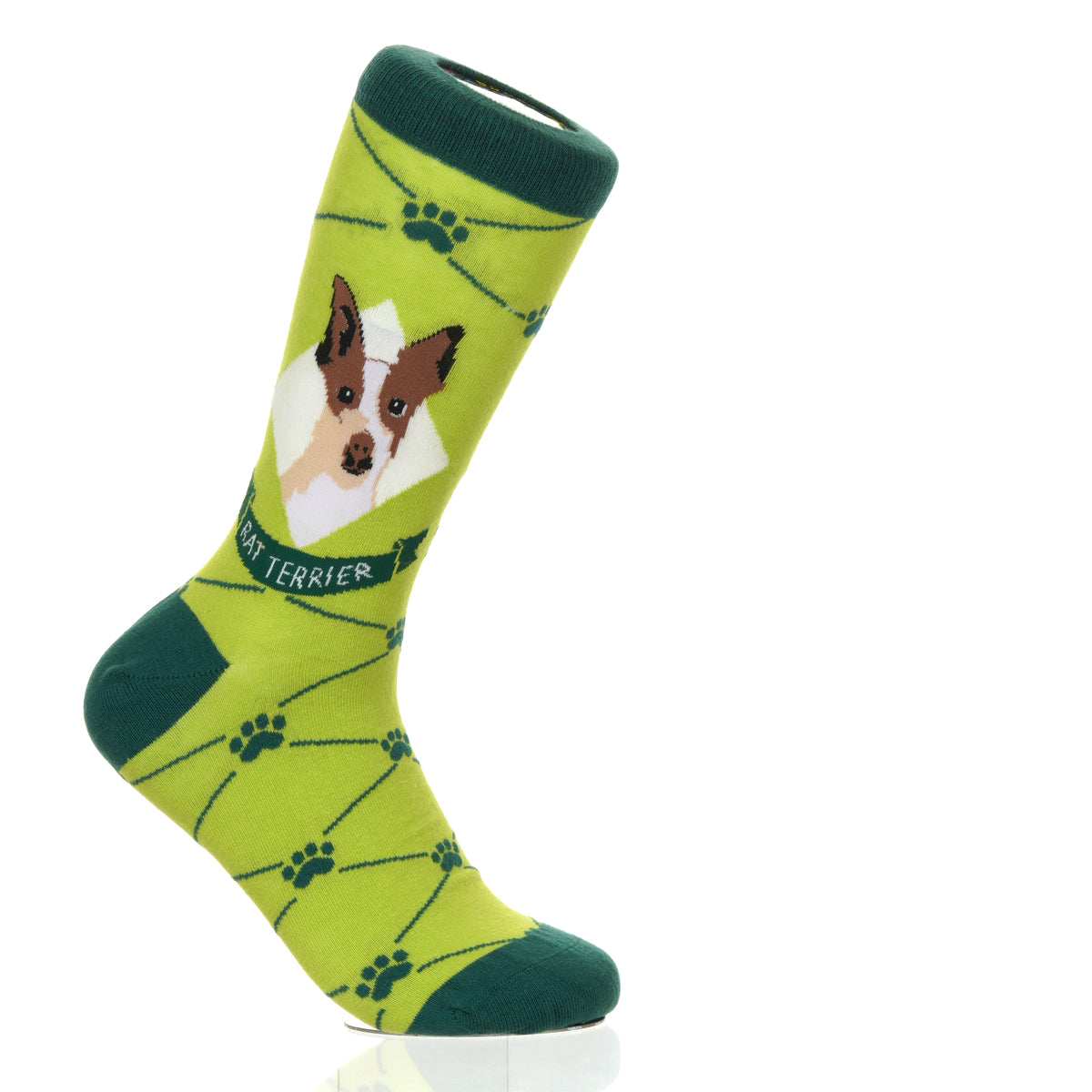 Rat Terrier | Argyle Pups